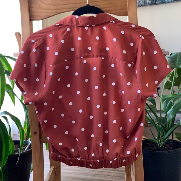 Rust coloured polka dot cropped t-shirt. - Picture 3 of 3